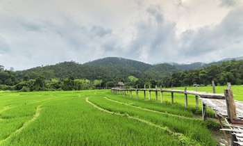Pai Village